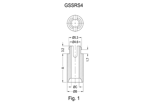 GSSRS4&GSSRS8 2D 503X350.jpg